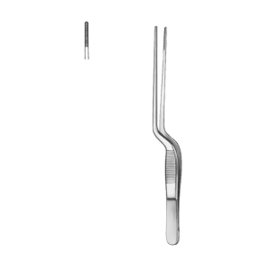 Ear Hooklet